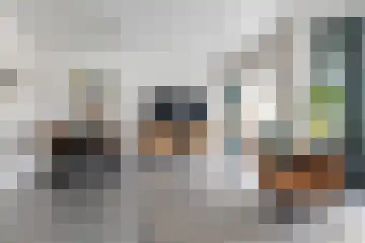 de Anjen 60 Leeuwarden thumbnail 9