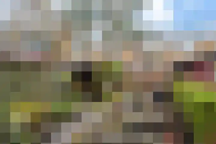 de Anjen 73 Leeuwarden thumbnail 13