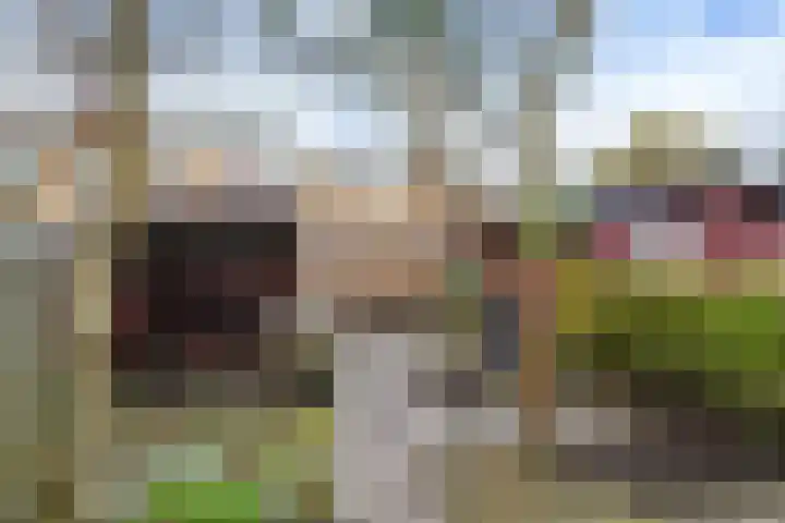 de Anjen 73 Leeuwarden thumbnail 14