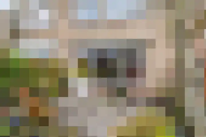 de Anjen 73 Leeuwarden thumbnail 15