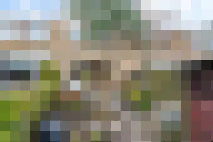 de Anjen 73 Leeuwarden thumbnail 16