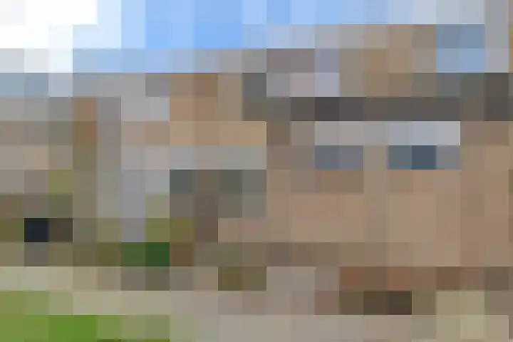 de Anjen 73 Leeuwarden thumbnail 31