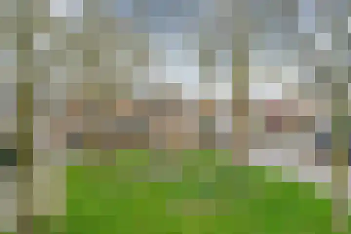 de Anjen 73 Leeuwarden thumbnail 33
