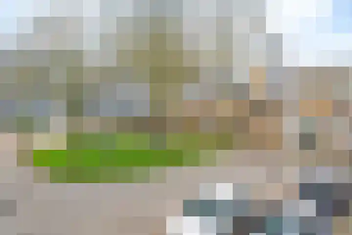 de Anjen 73 Leeuwarden thumbnail 34