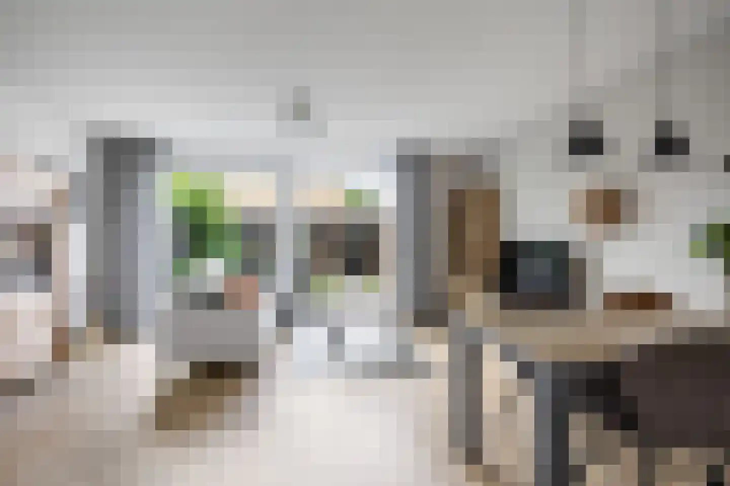 de Anjen 91 Leeuwarden thumbnail 11