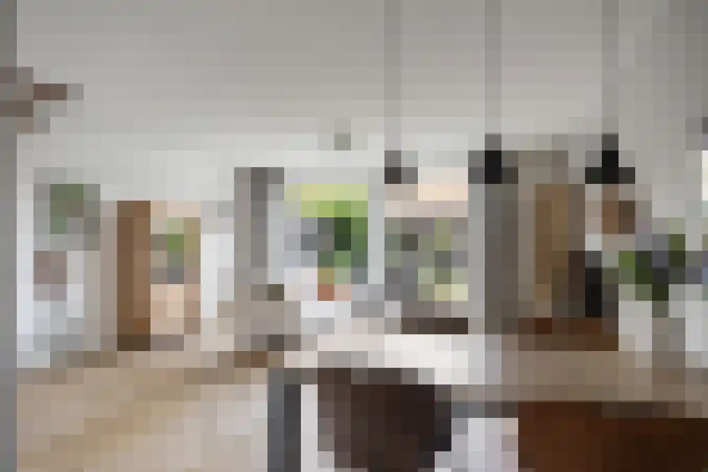 de Anjen 91 Leeuwarden thumbnail 13