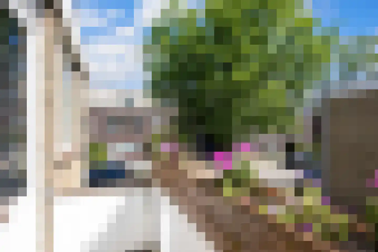 de Anjen 91 Leeuwarden thumbnail 34