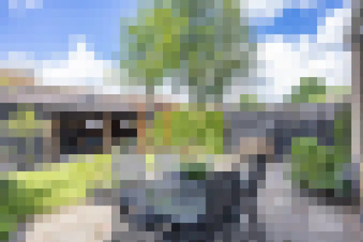 de Anjen 91 Leeuwarden thumbnail 37
