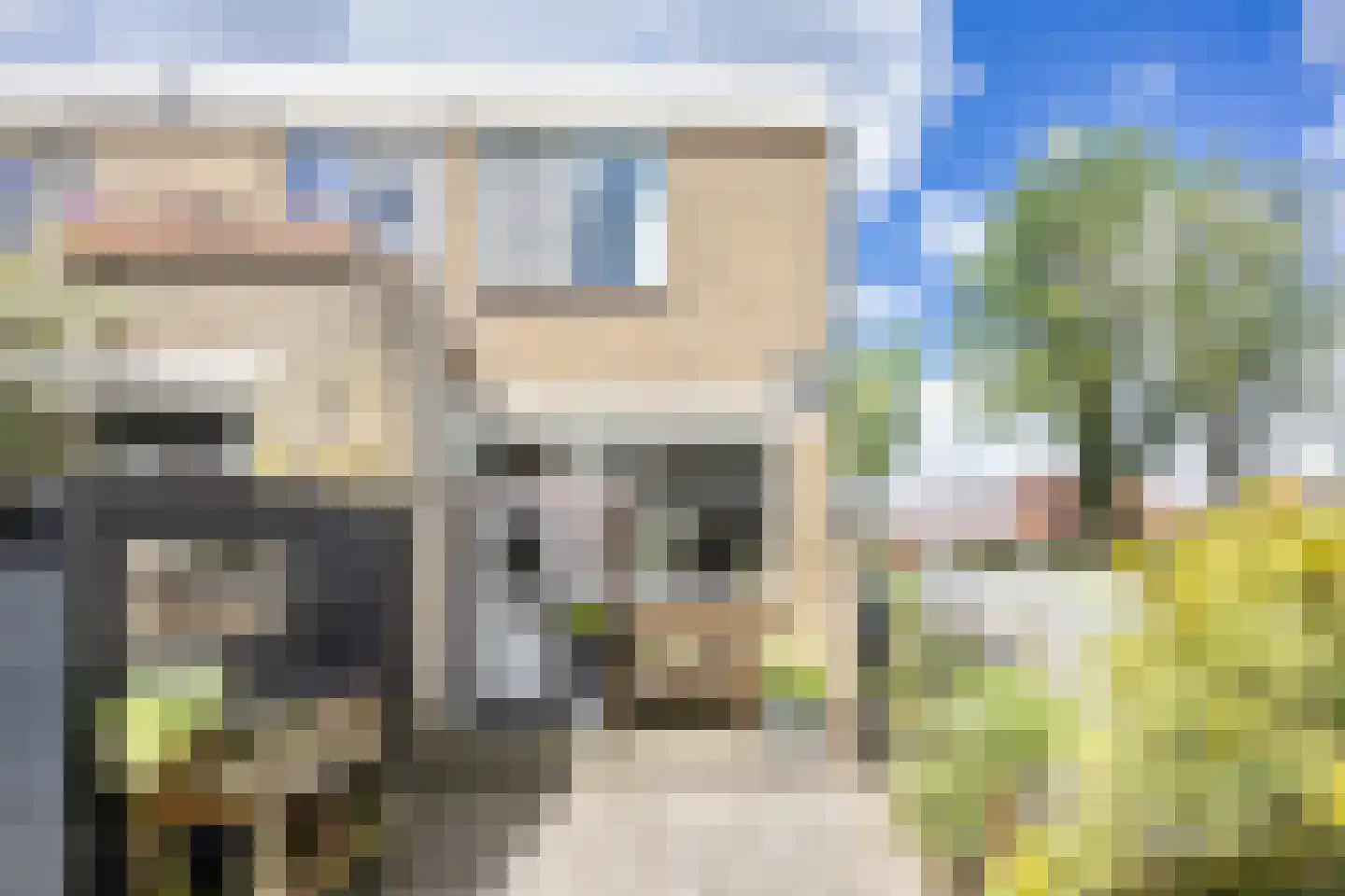 de Anjen 91 Leeuwarden thumbnail 6