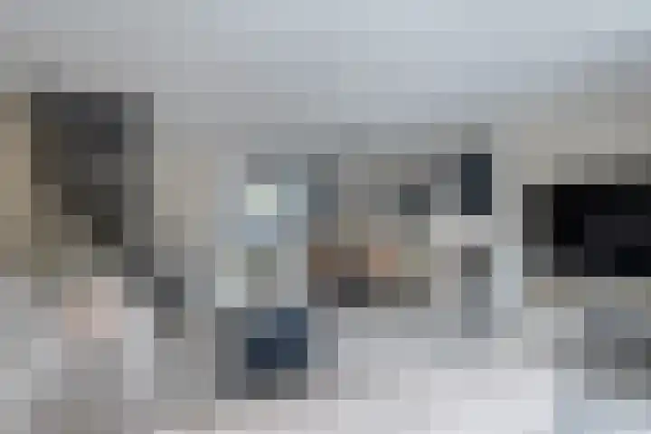 de Anjen 97 Leeuwarden thumbnail 13