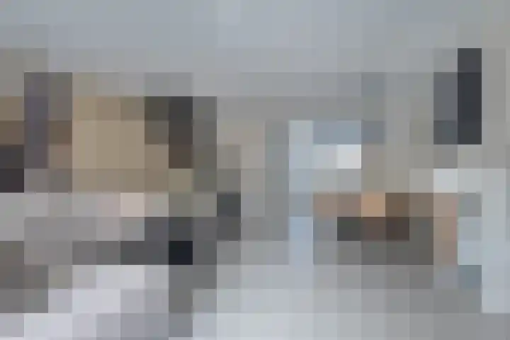 de Anjen 97 Leeuwarden thumbnail 14