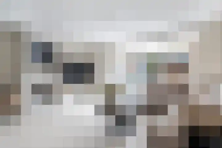 de Anjen 97 Leeuwarden thumbnail 18