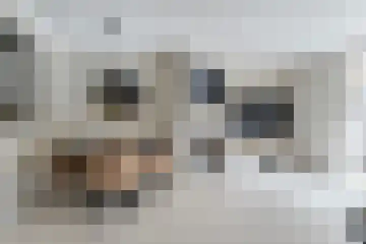 de Anjen 97 Leeuwarden thumbnail 19