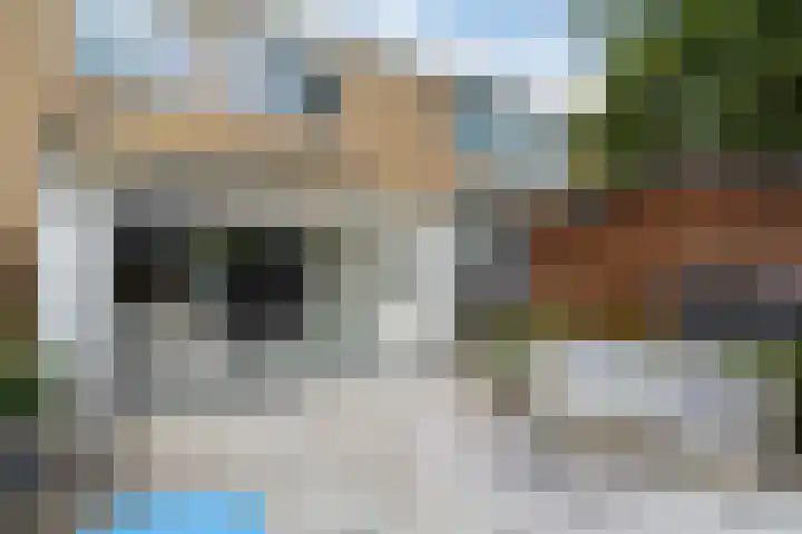 de Anjen 97 Leeuwarden thumbnail 5