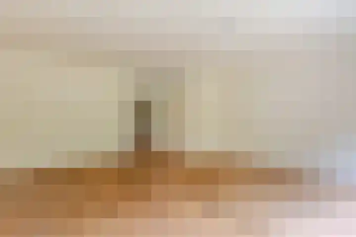 de Anjer 23 Hoogerheide thumbnail 11
