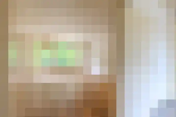 de Anjer 23 Hoogerheide thumbnail 12