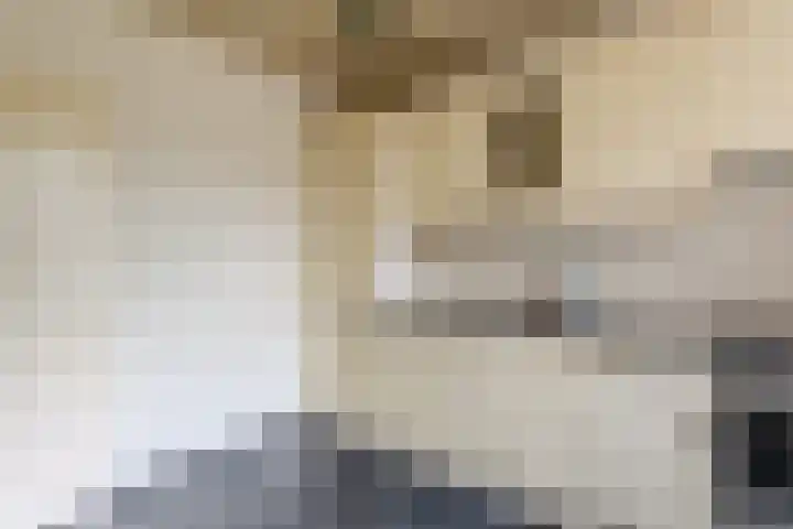 de Anjer 23 Hoogerheide thumbnail 13