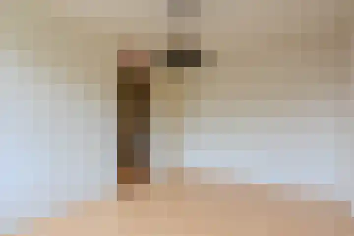 de Anjer 23 Hoogerheide thumbnail 19