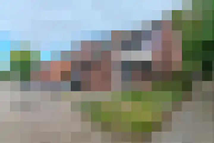 de Anjer 23 Hoogerheide foto 2