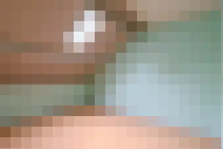 de Anjer 23 Hoogerheide thumbnail 25