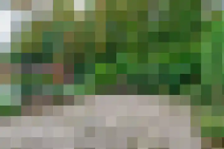 de Anjer 23 Hoogerheide thumbnail 28