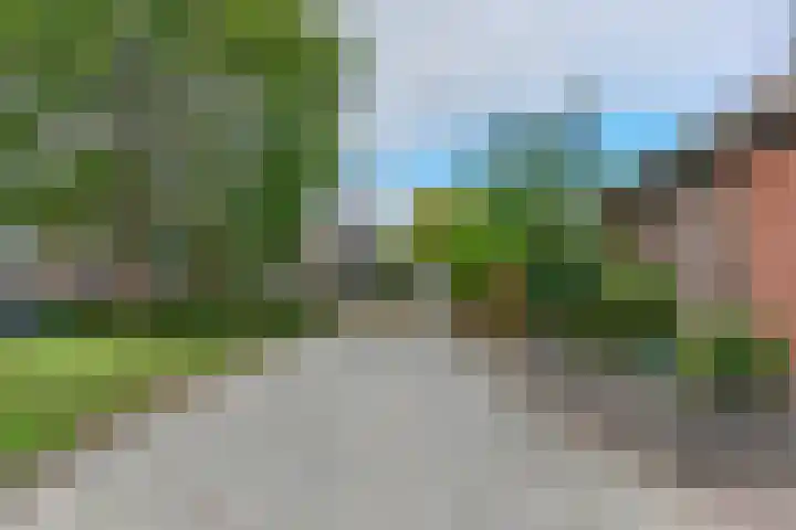 de Anjer 23 Hoogerheide foto 3