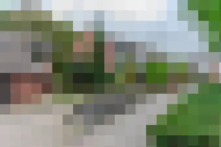 de Anjer 23 Hoogerheide thumbnail 31