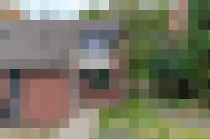 de Anjer 23 Hoogerheide thumbnail 32
