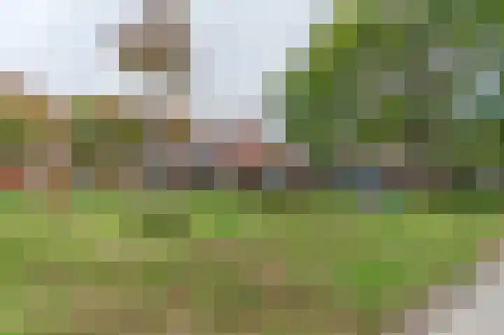 de Anjer 23 Hoogerheide thumbnail 33