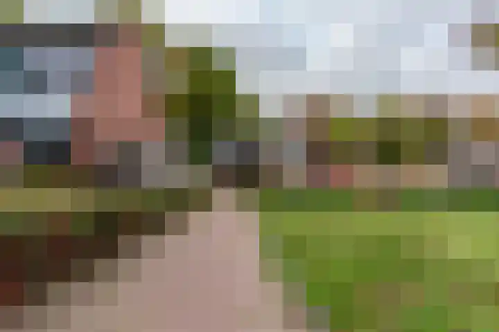 de Anjer 23 Hoogerheide thumbnail 34