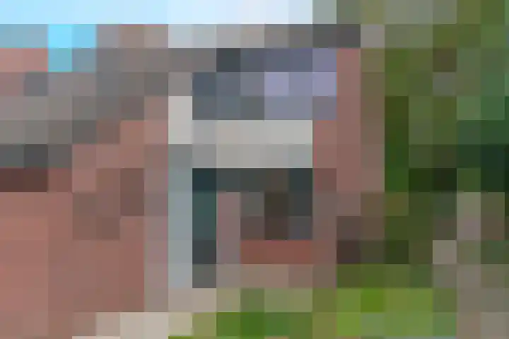 de Anjer 23 Hoogerheide thumbnail 36