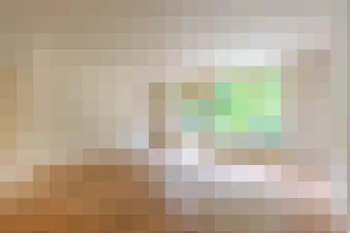 de Anjer 23 Hoogerheide thumbnail 4