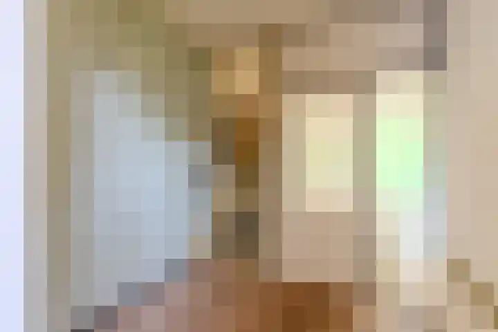 de Anjer 23 Hoogerheide thumbnail 7