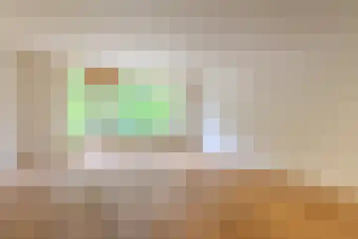 de Anjer 23 Hoogerheide thumbnail 8