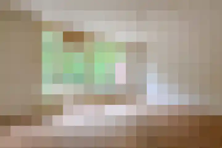 de Anjer 23 Hoogerheide thumbnail 9