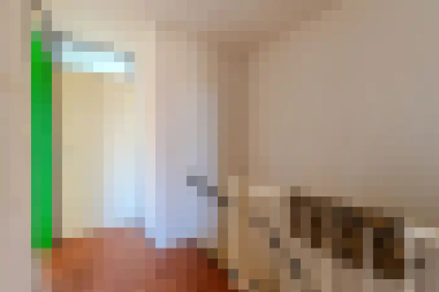 de Anjer 26 Hoogerheide thumbnail 17