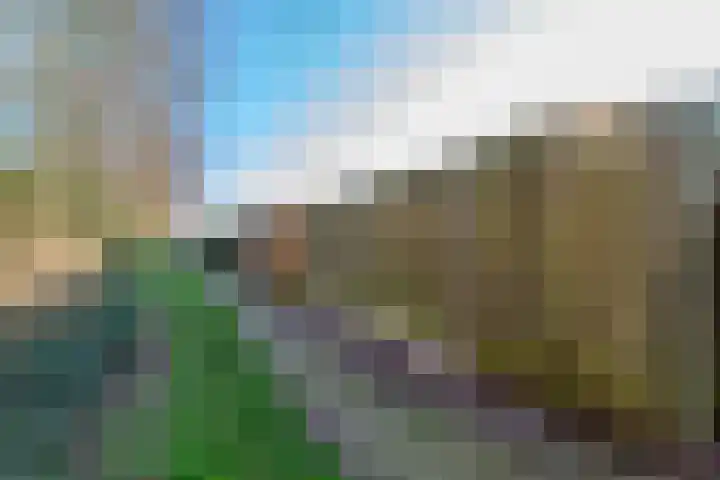 de Anjer 26 Hoogerheide thumbnail 31