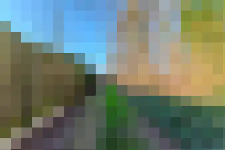 de Anjer 26 Hoogerheide thumbnail 32