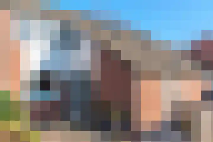 de Anjer 26 Hoogerheide thumbnail 35