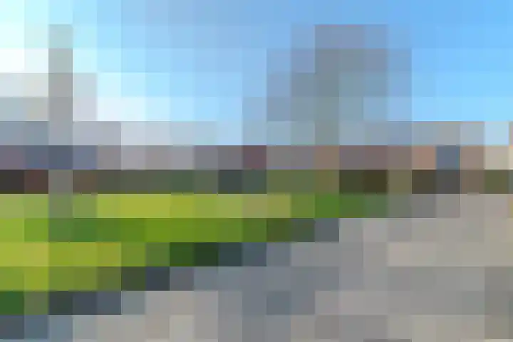 de Anjer 26 Hoogerheide thumbnail 39