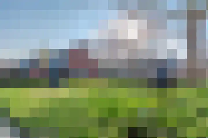 de Anjer 26 Hoogerheide thumbnail 41