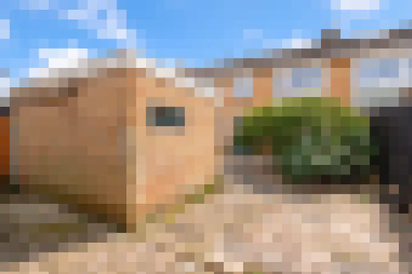 De Appelboomstraat 14 Westzaan thumbnail 10