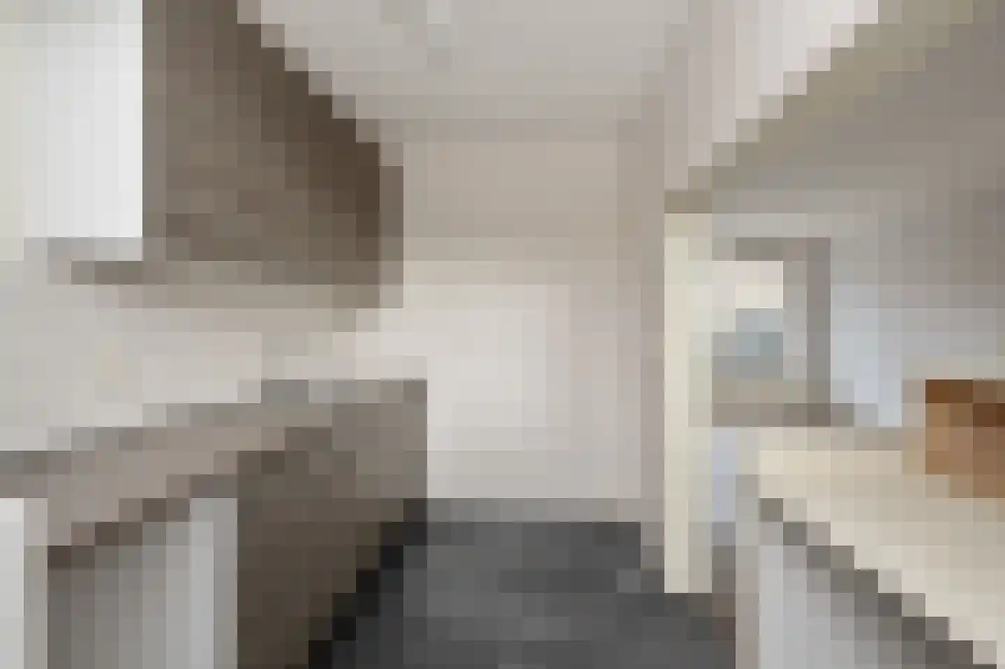 De Appelboomstraat 14 Westzaan thumbnail 7