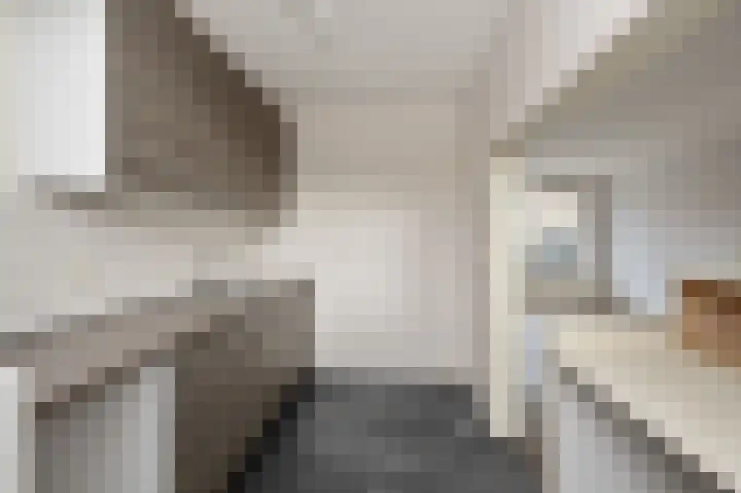 De Appelboomstraat 14 Westzaan thumbnail 8