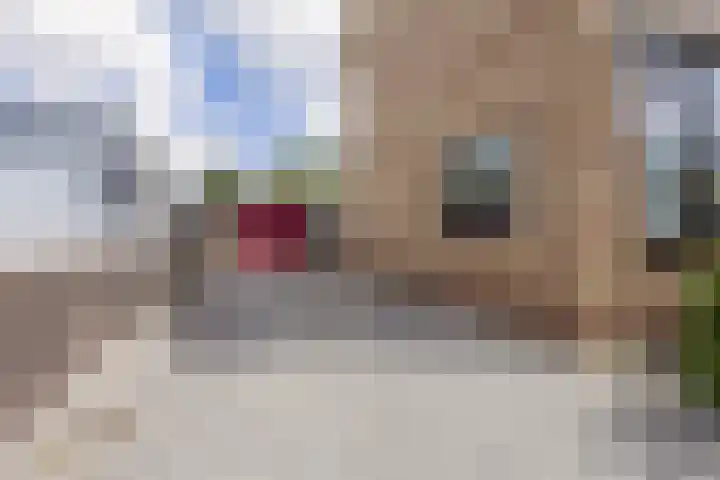 De Appelboomstraat 26 Westzaan thumbnail 31