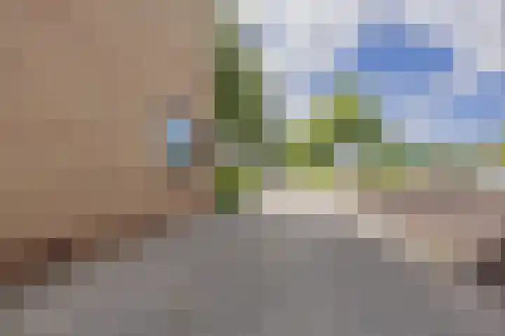 De Appelboomstraat 26 Westzaan thumbnail 32