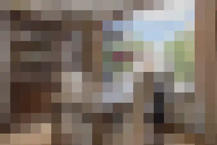 De Appelboomstraat 26 Westzaan thumbnail 6