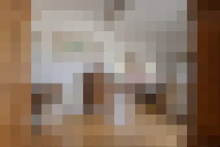 De Appelboomstraat 26 Westzaan thumbnail 8
