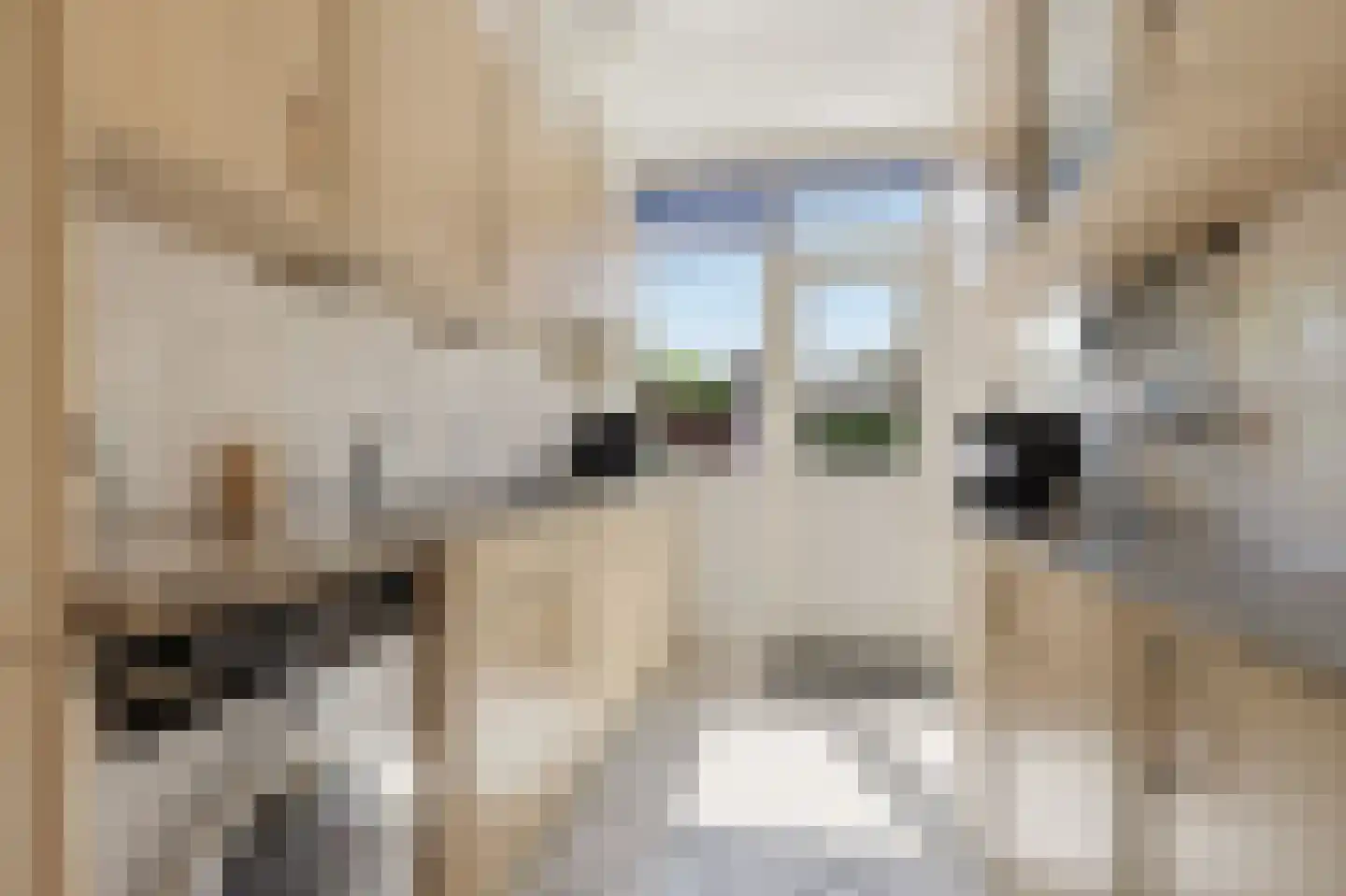 De Appelboomstraat 33 Westzaan thumbnail 10