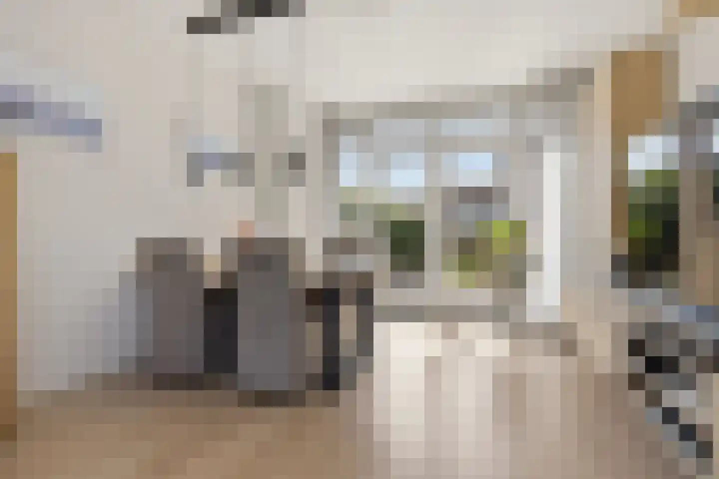 De Appelboomstraat 33 Westzaan thumbnail 6